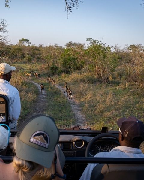 Makanyi Lodge Experiences (2)